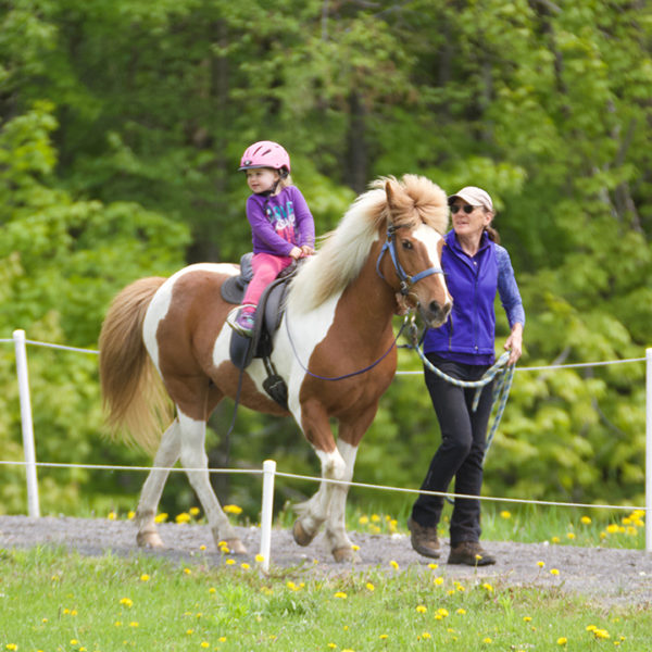 Leadline Horse Class at Solheimar Farm 2019 Firmakeppni