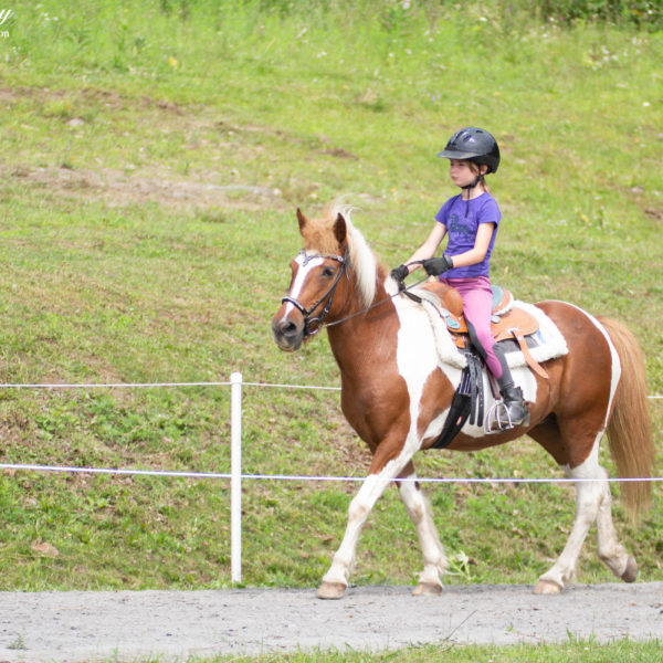 Youth Mix In A Bag at Solheimar Farm 2019 Open Sanctioned Show